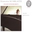 Scarlatti: Seize sonates Albumcover