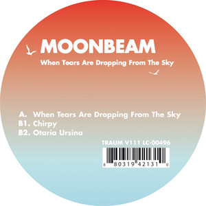 When Tears Are Dropping From The Sky album