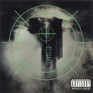 Within the Veil cover