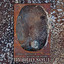 Hybrid Soul cover