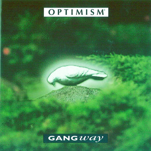 Optimism cover