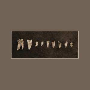 Austere cover