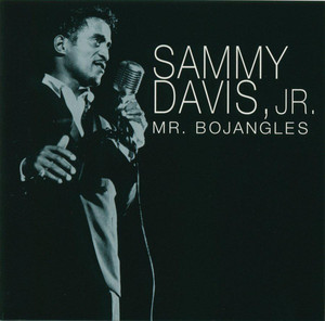Mr. Bojangles cover