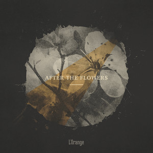 After the Flowers EP album