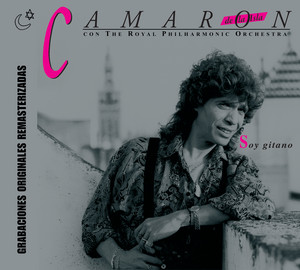 Soy Gitano cover
