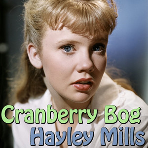 Cranberry Bog album