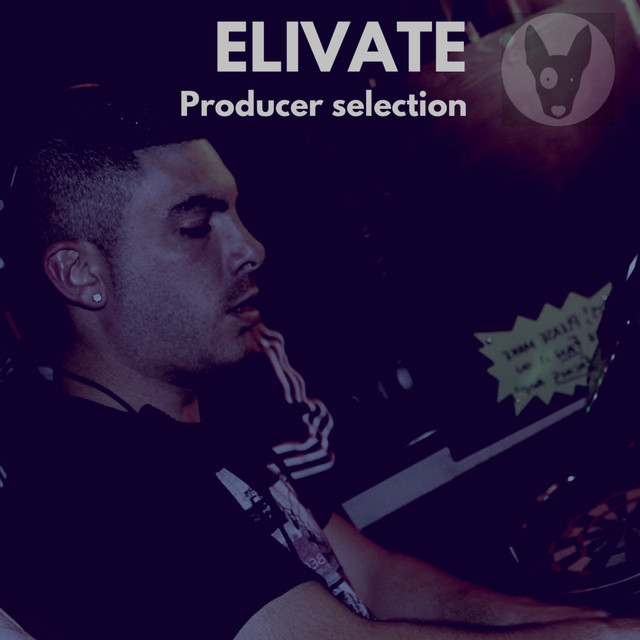 Elivate Photo