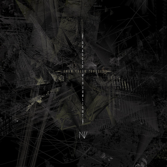 N.v. cover