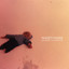 Anatomy Of Distance Albumcover