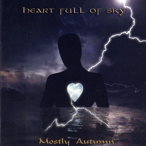 Heart Full of Sky cover