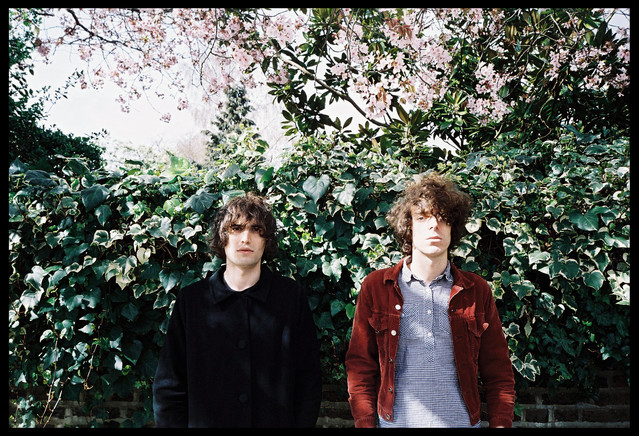 The Proper Ornaments