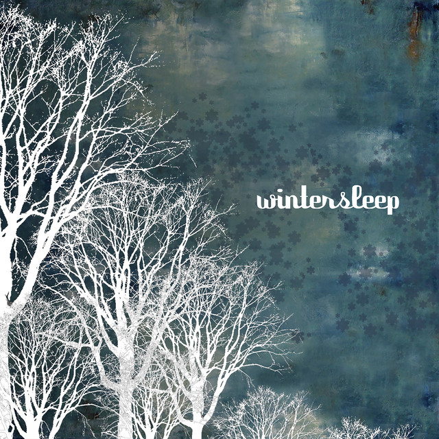 Wintersleep cover