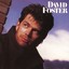 David Foster - Love theme from st. elmo's fire