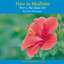 How to Meditate, Part 1: The Basic Kit Albumcover