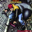 Demolition cover