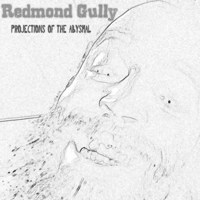Redmond Gully Photo