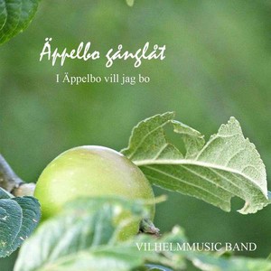 Vilhelmmusic band feat. Vilhelm Backman