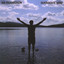Surrogate Mind Albumcover