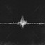 We Will Not Be Shaken cover
