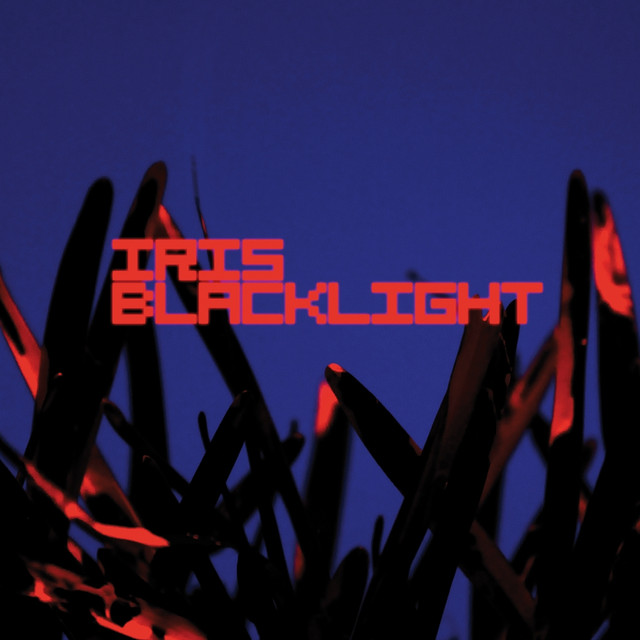 Blacklight cover