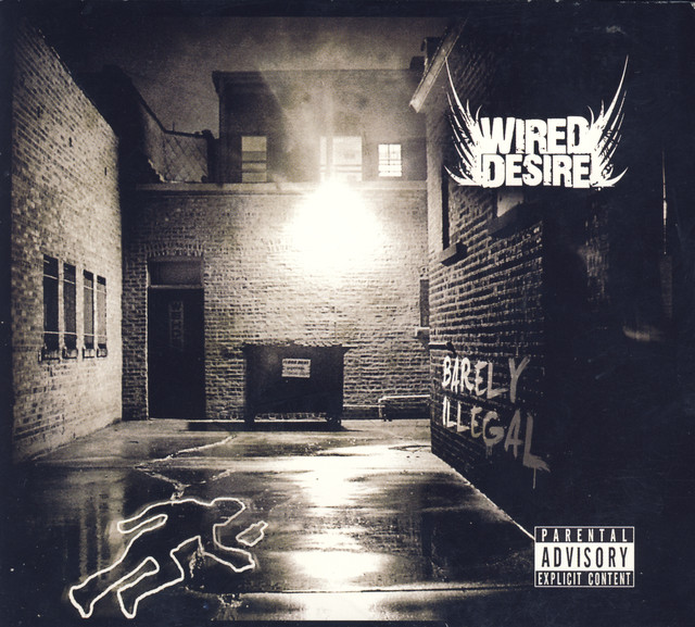 Wired Desire Photo