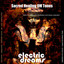 Sacred Healing Om Tones Albumcover