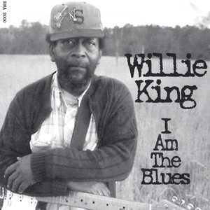 Strolling With Willie cover