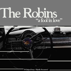 A Fool in Love cover