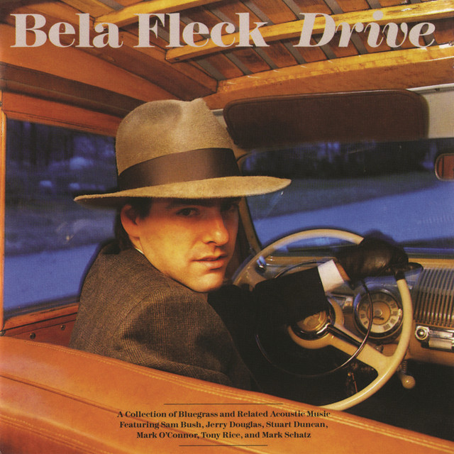 Drive cover