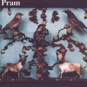 The Museum of Imaginary Animals cover