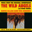Wild Angels And Other Themes cover