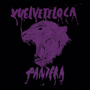 Vuelveteloca Photo