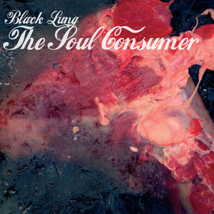 The Soul Consumer cover
