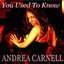 You Used To Know Albumcover