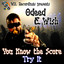 You Know the Score/Try It Albumcover