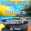 Waves: Tribute to Mr. Probz Albumcover