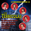 12 Grandes Exitos cover