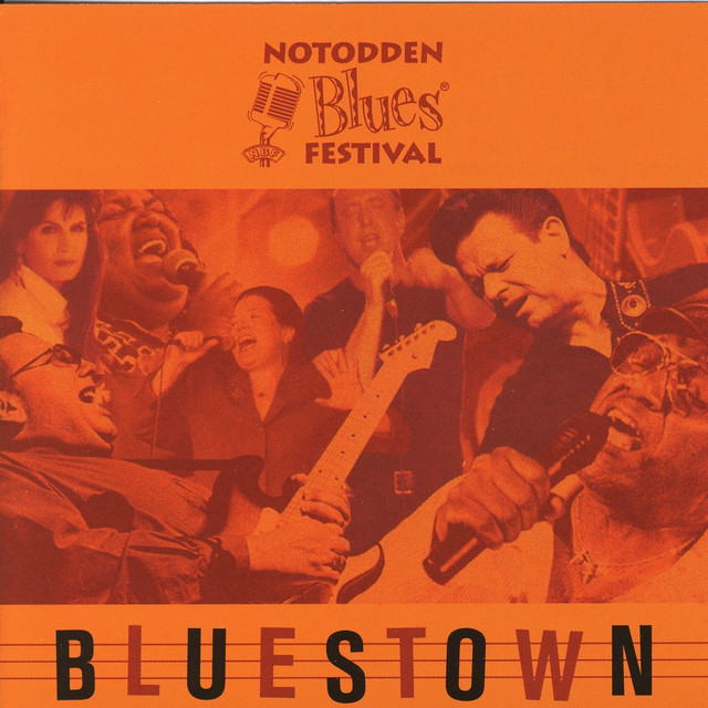 Notodden Bluesfestival - Bluestown cover
