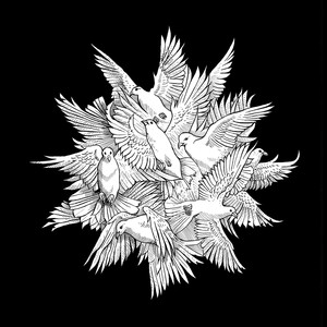 Eldir nótt cover