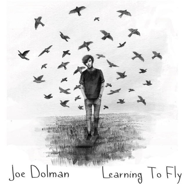 Learning To Fly cover