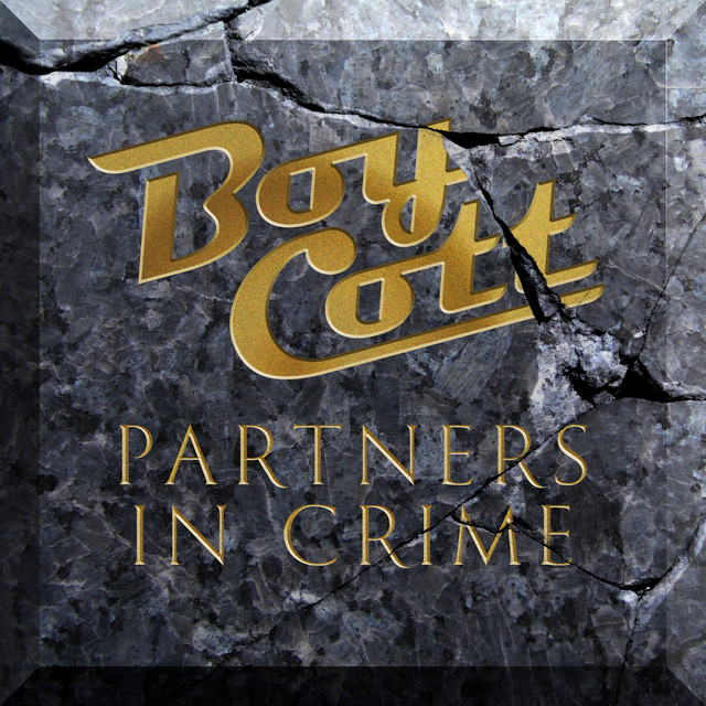 Partners In Crime cover