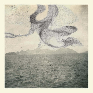 A Small Murmuration cover