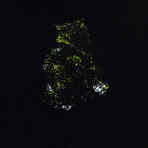 Byron Westbrook Photo