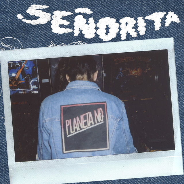 Señorita cover