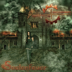 Seelenfeuer cover