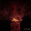 The Arsonist Albumcover