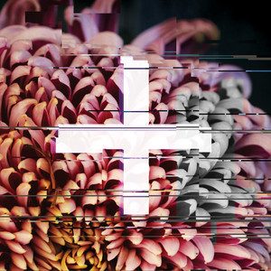 +FE Music: The Reworks album