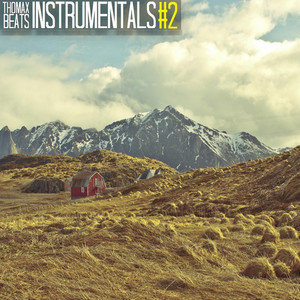 Instrumentals #2 Albumcover