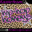 Karaoke Heaven: Hip-Hop Honeys Albumcover