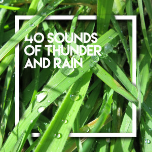 40 Sounds of Thunder and Rain album